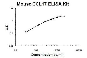 Mouse CCL17/TARC PicoKine ELISA Kit standard curve