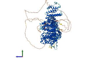 AlphaFold protein structure predicition of Mouse Recombinant Stag2 Protein, UniprotID O35638 (STAG2 Protein (AA 1-1231) (His tag))