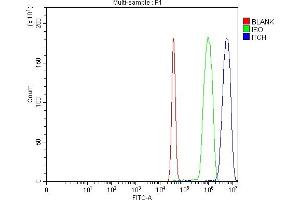 anti-Itchy E3 Ubiquitin Protein Ligase Homolog (ITCH) (AA 410-437), (Middle Region) antibody