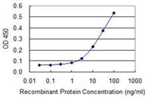 Detection limit for recombinant GST tagged FKBP10 is 1 ng/ml as a capture antibody. (FKBP10 antibody  (AA 377-470))
