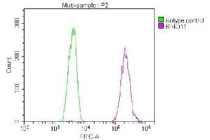 Overlay Peak curve showing U251 cells stained with ABIN7173630 (red line) at 1:100. (Tumor Suppressor Gene On Chromosome 11 (TSG11) (AA 1-145) antibody)