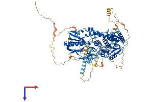 AlphaFold protein structure predicition of Human Recombinant MTMR12 Protein, UniprotID Q9C0I1 (MTMR12 Protein (AA 1-747) (His tag))