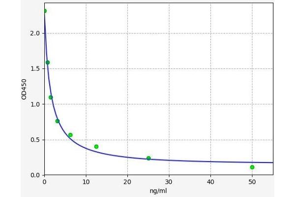 PAG1 ELISA Kit