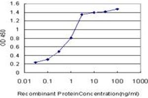 Detection limit for recombinant GST tagged FOXM1 is approximately 0. (FOXM1 antibody  (AA 702-801))