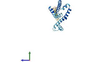 AlphaFold protein structure predicition of Human Recombinant SLC7A5P1 Protein, UniprotID Q8MH63 (SLC7A5P1 Protein (AA 1-180) (His tag))