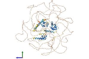 Protein Structure (PS) image for RNA Binding Motif Protein 20 (RBM20) (AA 1-1227) protein (His tag) (ABIN7555124)
