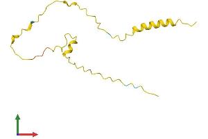 Protein Structure (PS) image for Transition Protein 2 (During Histone To Protamine Replacement) (TNP2) (AA 1-117) protein (His tag) (ABIN7562837)