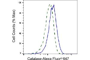 Validation of Catalase knockdown using flow cytometry. (Recombinant Catalase antibody)