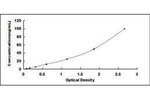 Podocalyxin-Like (PODXL) ELISA Kit
