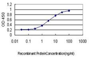 Detection limit for recombinant GST tagged CCL14 is approximately 0. (CCL14 antibody  (AA 20-93))