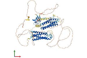 AlphaFold protein structure predicition of Human Recombinant NEDD9 Protein, UniprotID Q14511