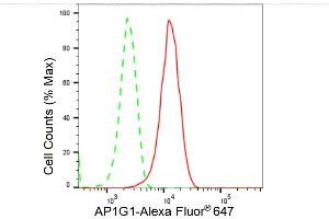 Flow cytometric analysis of AP1G1 expression in HepG2 cells using AP1G1 antibody (ABIN7797508), 1:2,000). (Recombinant gamma 1 Adaptin antibody)