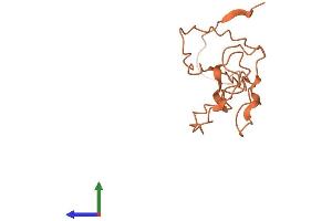 AlphaFold protein structure predicition of Human Recombinant KRTAP2-4 Protein, UniprotID Q9BYR9 (KRTAP2-4 Protein (AA 1-128) (His tag))