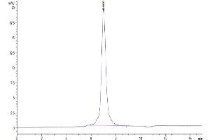 The purity of Mouse ITGA2B&ITGB3 is greater than 95 % as determined by SEC-HPLC. (Integrin alpha 2B beta 3 (ITGA2B & ITGB3) Heterodimer (AA 32-988) protein (His tag))