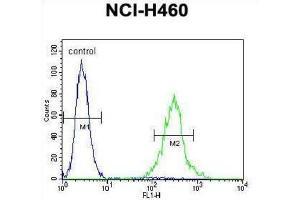 Flow Cytometry (FACS) image for anti-Protease, Serine, 55 (PRSS55) antibody (ABIN2996346)