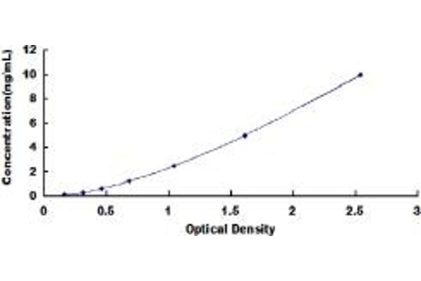 DLL3 ELISA Kit