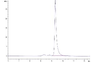 The purity of Human BTN3A1 is greater than 95 % as determined by SEC-HPLC. (BTN3A1 Protein (AA 30-254) (His tag))