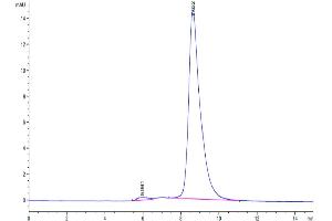 The purity of Cynomolgus IL-18RAP is greater than 95 % as determined by SEC-HPLC. (IL18RAP Protein (AA 20-356) (His tag))