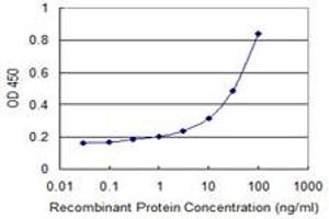 Detection limit for recombinant GST tagged TNRC6B is 0. (TNRC6B antibody  (AA 153-252))