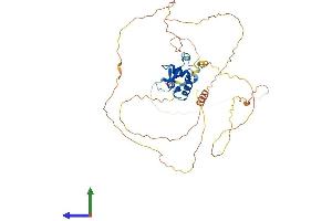 AlphaFold protein structure predicition of Mouse Recombinant Foxd4 Protein, UniprotID Q60688 (FOXD4 Protein (AA 1-444) (His tag))
