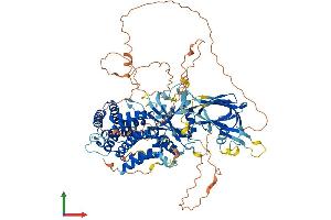 AlphaFold protein structure predicition of Human Recombinant PIK3R5 Protein, UniprotID Q8WYR1 (PIK3R5 Protein (AA 1-880) (His tag))