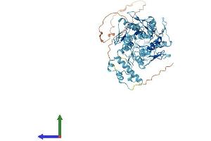 Protein Structure (PS) image for Zinc Finger Protein 30 (ZFP30) (AA 1-623) protein (His tag) (ABIN7545413)