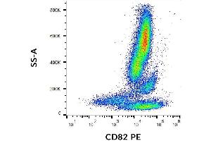 Flow cytometry analysis (surface staining) of CD82 on human peripheral blood cells with anti-CD82 (C33) PE.
