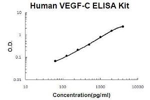 Human VEGF-C PicoKine ELISA Kit standard curve (VEGFC ELISA Kit)