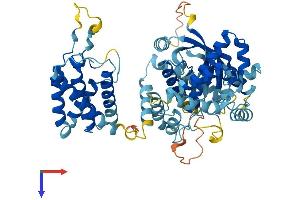 Phosphatidylinositol 4-Kinase, Catalytic, alpha Pseudogene 2 (PI4KAP2) (AA 1-592) protein (His tag)