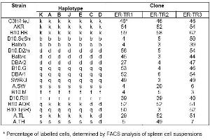 Distribution of ER-TR 1, ER-TR 2 and ER-TR 3 among mouse strains with independent and recombinant haplotypes* (MHC Class II Antigen I Ak,d,b,q,r antibody (FITC))