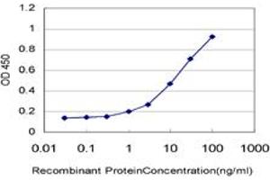 Detection limit for recombinant GST tagged TCL1A is approximately 1ng/ml as a capture antibody. (TCL1A antibody  (AA 61-114))