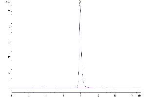 Size-exclusion chromatography-High Pressure Liquid Chromatography (SEC-HPLC) image for Tumor Necrosis Factor Receptor Superfamily, Member 10b (TNFRSF10B) (AA 56-182) protein (His-Avi Tag,Biotin) (ABIN7275780)