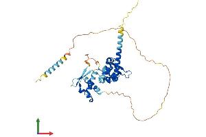 Protein Structure (PS) image for Melanoma Antigen Family B, 1 (MAGEB1) (AA 1-347) protein (His tag) (ABIN7549146)