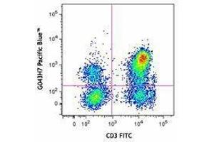 Flow Cytometry (FACS) image for anti-Chemokine (C-C Motif) Receptor 7 (CCR7) antibody (Pacific Blue) (ABIN2662214) (CCR7 antibody  (Pacific Blue))