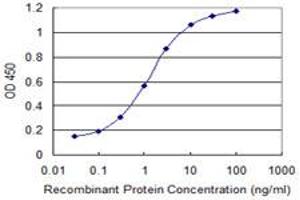 Detection limit for recombinant GST tagged FDX1 is 0. (Ferredoxin1 (FDX1) (AA 85-183) antibody)