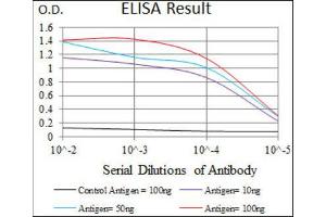 ELISA image for anti-Transforming Growth Factor, beta Receptor III (TGFBR3) (AA 147-328) antibody (ABIN1846465) (TGFBR3 antibody  (AA 147-328))