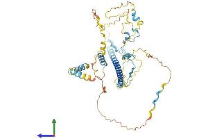 AlphaFold protein structure predicition of Human Recombinant WASH3P Protein, UniprotID C4AMC7 (WASH3P Protein (AA 1-463) (His tag))