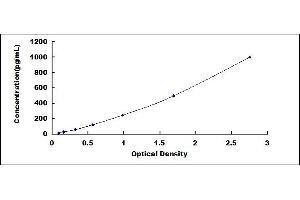 Typical standard curve (Galectin 2 ELISA Kit)
