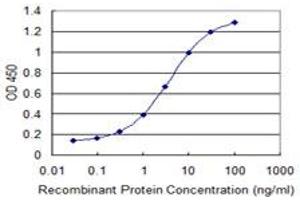 Detection limit for recombinant GST tagged SLC6A11 is 0. (SLC6A11 antibody  (AA 164-225))