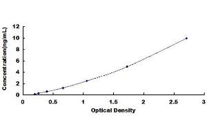 Typical standard curve (HRSP12 ELISA Kit)