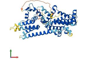 AlphaFold protein structure predicition of Mouse Recombinant Rasgef1b Protein, UniprotID Q8JZL7