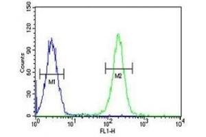 PAX1 antibody flow cytometric analysis of K562 cells (right histogram) compared to a negative control (left histogram) (PAX1 antibody  (AA 443-471))