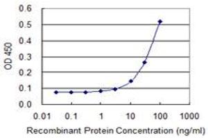 Detection limit for recombinant GST tagged FOXQ1 is 3 ng/ml as a capture antibody. (FOXQ1 antibody  (AA 110-219))