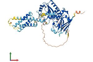 Protein Structure (PS) image for Transmembrane Phosphatase with Tensin Homology (TPTE) (AA 1-551) protein (His tag) (ABIN7544733)