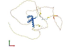AlphaFold protein structure predicition of Human Recombinant HOXA1 Protein, UniprotID P49639