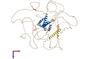 POU2F1 Protein (AA 1-770) (His tag)