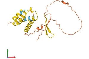 AlphaFold protein structure predicition of Human Recombinant FAM86C2P Protein, UniprotID A6NEL3 (FAM86C2P Protein (AA 1-165) (His tag))