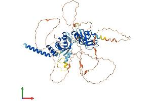 Protein Structure (PS) image for Single-Minded Homolog 2 (SIM2) (AA 1-667) protein (His tag) (ABIN7546173)