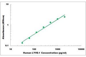 Representative Standard Curve (LYVE1 ELISA Kit)