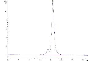 The purity of Mouse DSG3 is greater than 95 % as determined by SEC-HPLC. (Desmoglein 3 Protein (DSG3) (AA 50-617) (His tag))